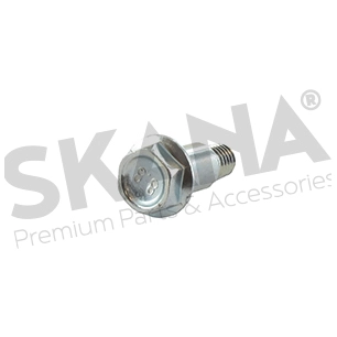 recoil pulley bolt
