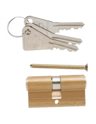 Cylindre de sureté fonction clé de sécours v5 30 x 30