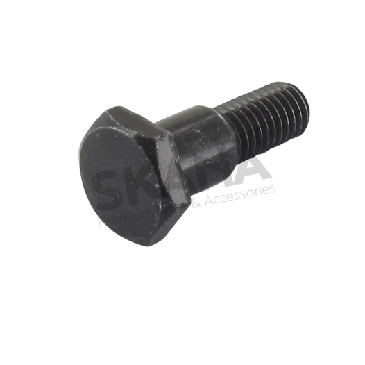 vis d'eesieu directeur, origine stiga. 125510103/0, 1255101030