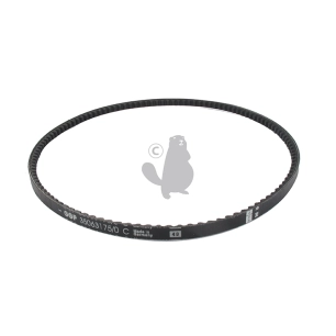 courroie crantée lp750mm origine stiga. 135063175/0, 1350631750