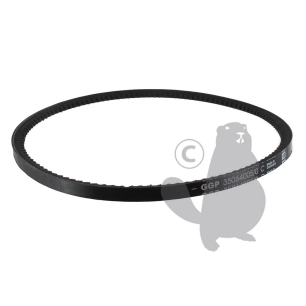 courroie crantée de transmission pour modèles td484 et tdl484.