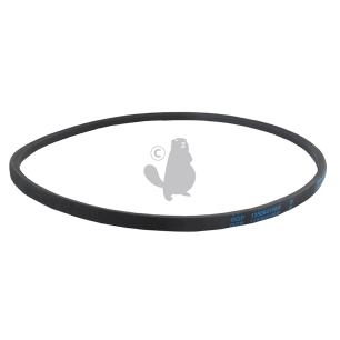 courroie lisse modèle z30, origine stiga.