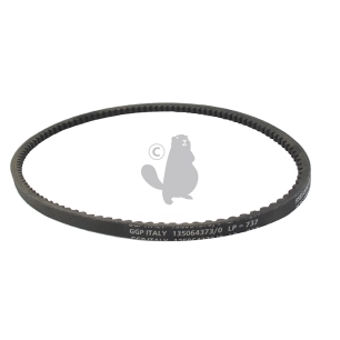 courroie trapézoïdale crantée 3/8 lp737 origine stiga. courroie alternative 3l300