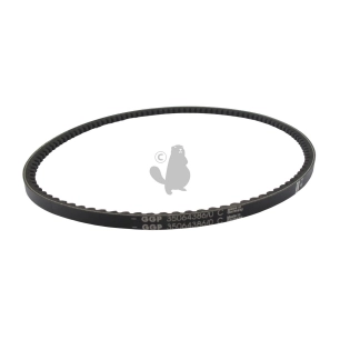 courroie crantée xpz870 pour modèle dml554wtr origine stiga.