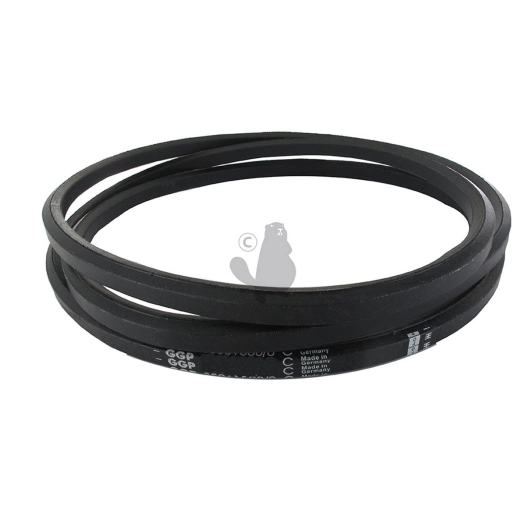 courroie de coupe hexagonale type aa85, origine stiga.