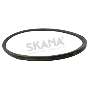 courroie pour scarificateur thermique gutbrod mv404, vs40a, , golf, 140v4, wolf sb40, vfs40 - origine: 000.75.748, 00075748.