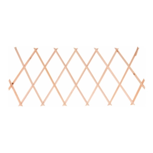 treillis en bois extensible 60 x 180 cm