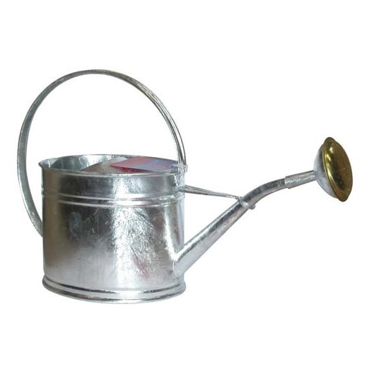 arrosoir oval 1l75 mã©tal+pomme - guillouard nogent