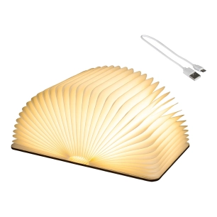 livre décoratif avec éclairage led fixe