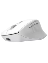 souris niven usb-c.multi s/fil.blanc. - trust