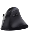 souris ss/fil ergonomique recharg vyran - trust