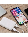 p-bank 10000mah 2 usb+usb-c paille/ble - akashi