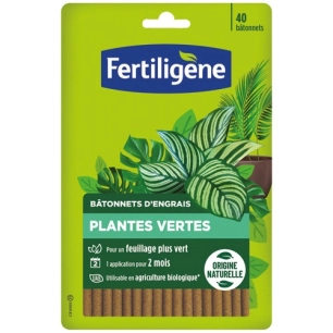 bã¢tonnets plantes vertes uab x 40 - evergreen garden fertiligene