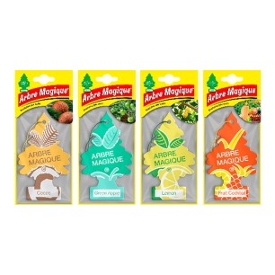 désodorisants pour voiture, parfum fruits, modèles assortis, 24 unités