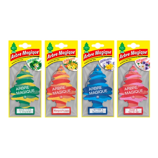 désodorisants pour voiture, fleurs, modèles assortis, 24 unités