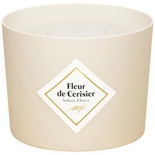 bougie fleur de ceriser 350g - maison berger