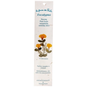 encens indien eucalyptus bio x 10 - ecodis