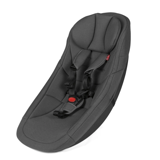 1 Baby Insert (Outback / Avenida / Traveller)