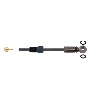 1 Pro Connect Adapter - Hayes (Dominion) - Banjo