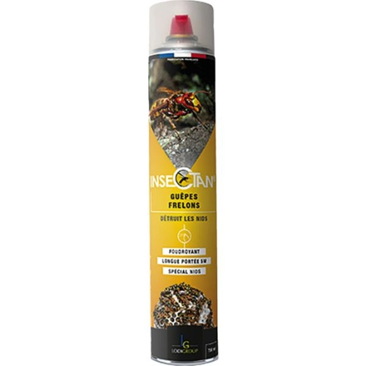 insecticide : guepes frelons euro et asiatique - aerosol 750ml