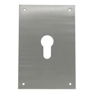 plaque entrée de clé, poire, modèle plp13, en acier inoxydable avec finition inox, 80 x 120 mm