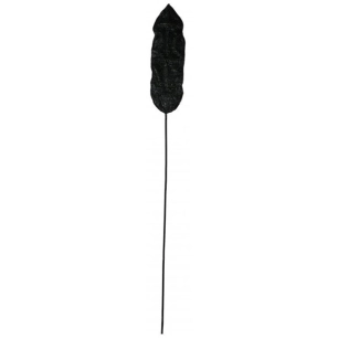 lot 6 palmes+bambou noir h200 - aubry gaspard ld