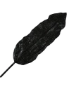 lot 6 palmes+bambou noir h200 - aubry gaspard ld