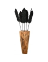 lot 6 palmes+bambou noir h200 - aubry gaspard ld