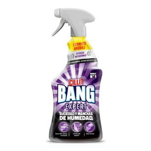 nettoyant pistolet expert taches d'humidité, 750 ml