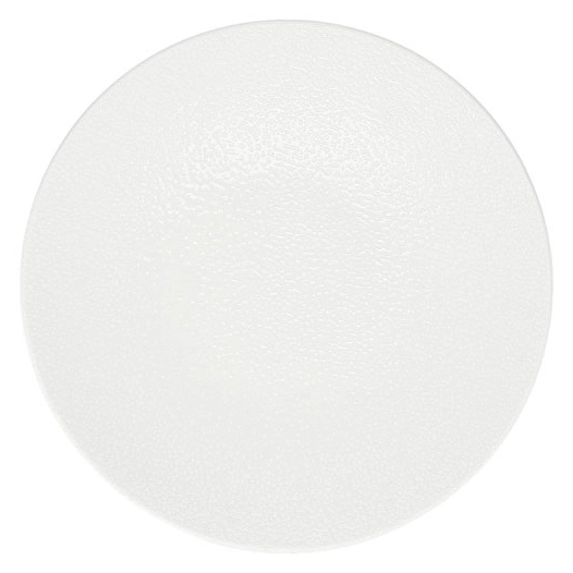 assiette plate 27cm blanc astro - fine dining living