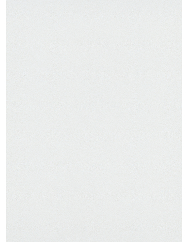 Vinyle Blanc Pailleté 8031 Papier peint intissé vinyle grainé blanc pailleté - DECORAMA