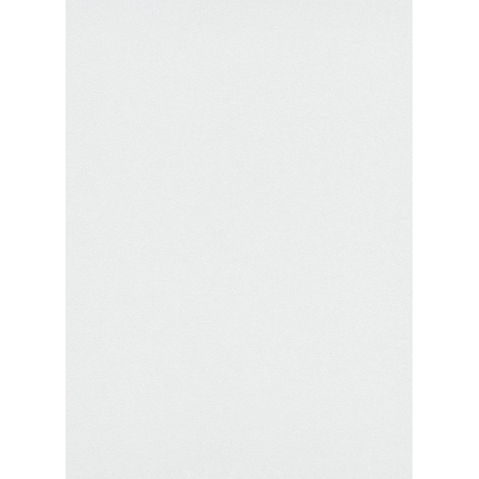 8031 - vinyle grainé sur intissé unis blanc pailleté 8031 - vinyle grainé sur intissé unis blanc pailleté - decorama