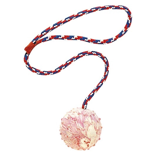 balle avec corde small 60 cm - ferplast france