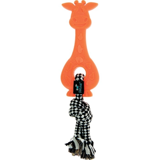 girafe dentition