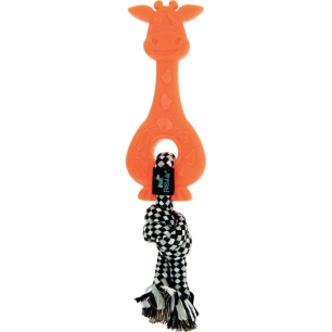 girafe dentition