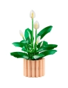 les fleurs de lune - botanicals - wdk groupe partner