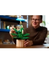 les fleurs de lune - botanicals - wdk groupe partner