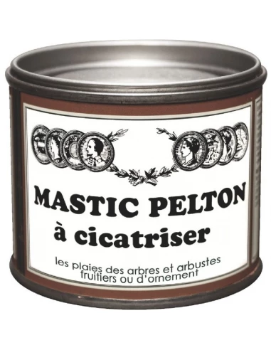 Mastic à cicatriser boîte 195 g