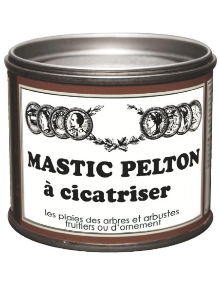 Mastic à cicatriser boîte 195 g