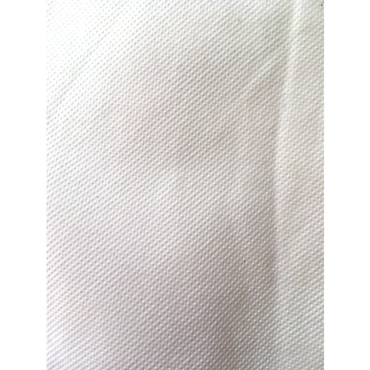 voile hivernage 1x10m 30gr/m2