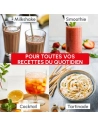 blender blendforce-600 w - 1,25 l utile - 2 vitesses + pulse - 6 lames - glace pilã©e - gris - gpe seb france - moulinex