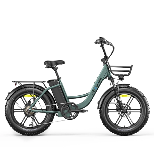Vélo Fatbike électrique urbain Eletronbike OC20 Vert - 250W 48V 13Ah Roues 20