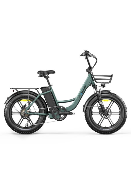 Vélo Fatbike électrique urbain Eletronbike OC20 Vert - 250W 48V 13Ah Roues 20