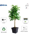 Pot de fleur Carré Toscane 38 L - Vert Laurier - EDA