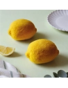 moule silicone trompe l å’il 6c citron - carambelle sarl - scrapcooking