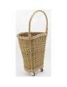 chariot marche os.brut+buff - aubry gaspard ld