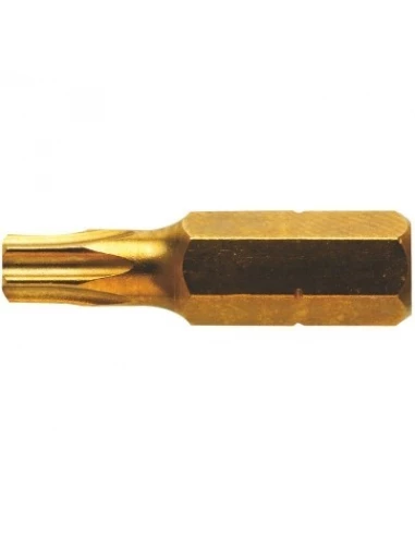 Embout de vissage 25 mm étoilé creux titane t27 1