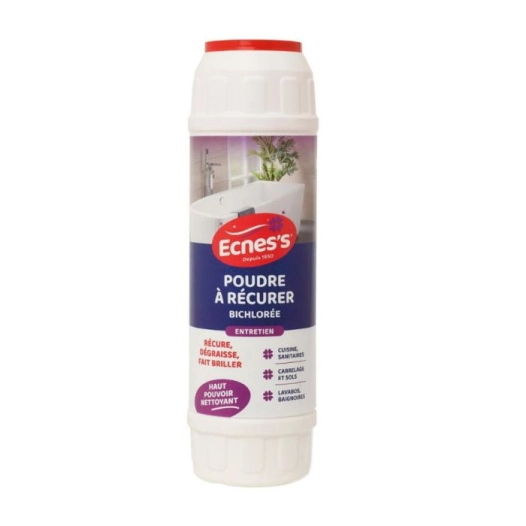 Ecnes Poudre A Recurer 1kg - ECNESS