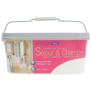 Peinture murale monocouche séjour / chambre 2l5 vert d'eau