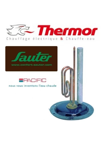 Résistance blindée 1600w et joint pour chauffe eau sur socle